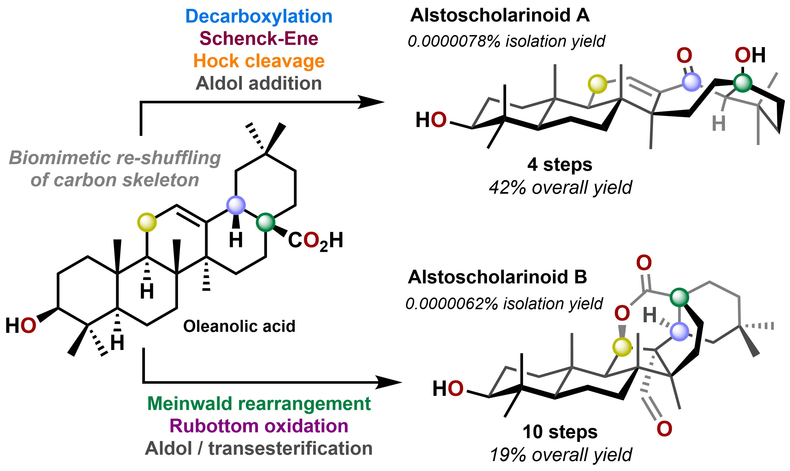 Bio-inspired synthesis of terpenoids graphic